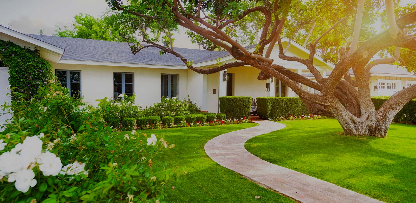 Bringing Beauty to Your Outdoor Spaces