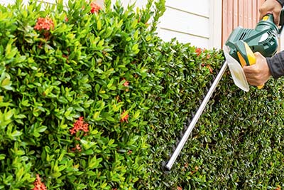 Weeding & Trimming Trees